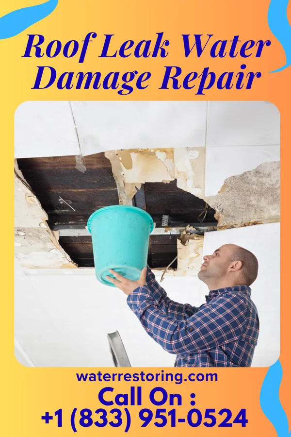 Roof Leak Water Damage Repair in Deenwood, GA